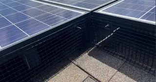 Critter Guard vs. Bird Proofing for Solar Panels